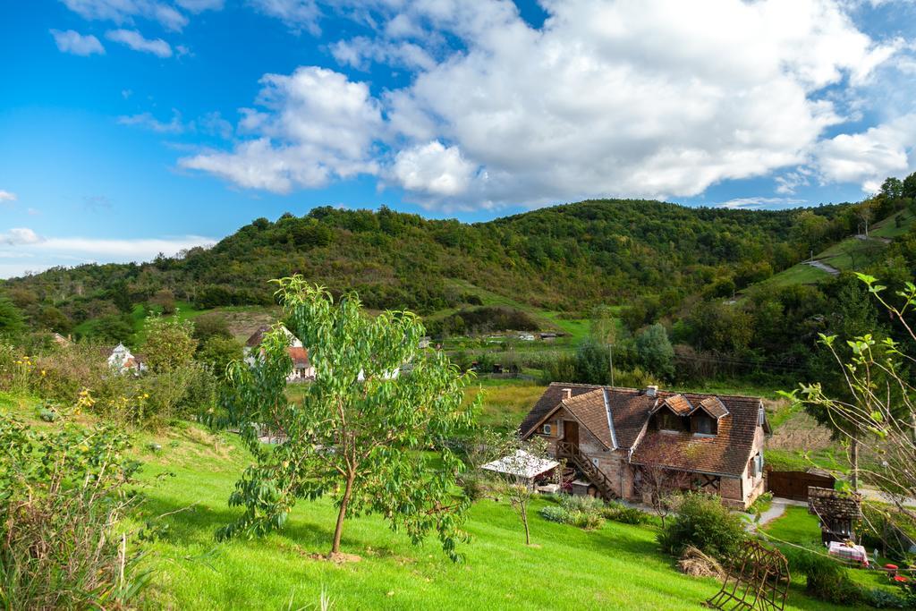 Gasthaus Country House "Stricev Grunt" Stara Kapela Zimmer foto